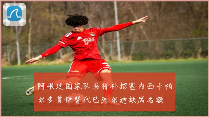 阿根廷国家队或将补招塞内西卡帕尔多贾伊替代巴列尔迪缺席名额