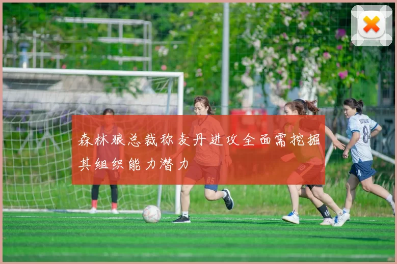 森林狼总裁称麦丹进攻全面需挖掘其组织能力潜力